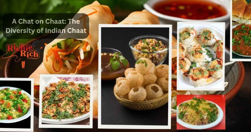 A Chat on Chaat: The Diversity of Indian Chaat